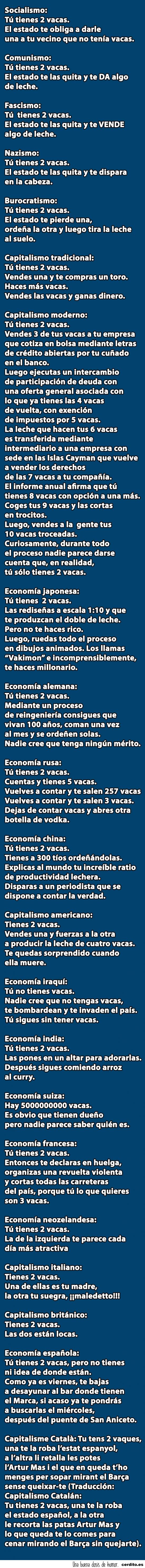 vacas