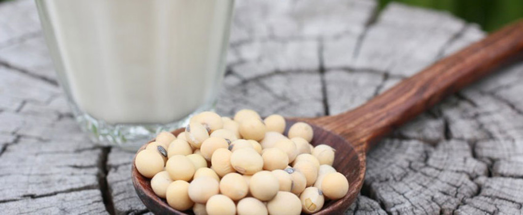 rejuvelac_mujerholistica_fermentado