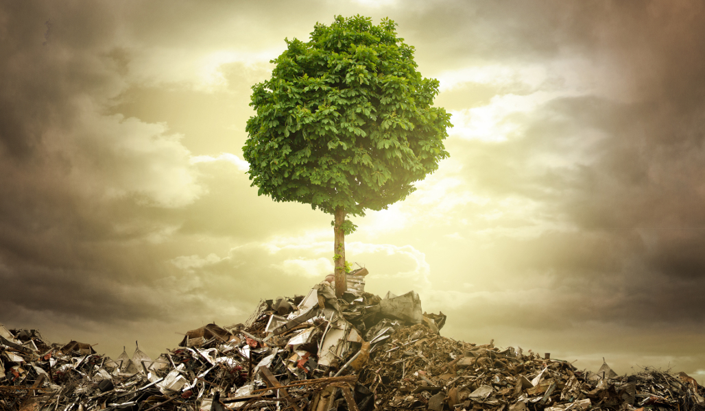 shutterstock_192450863