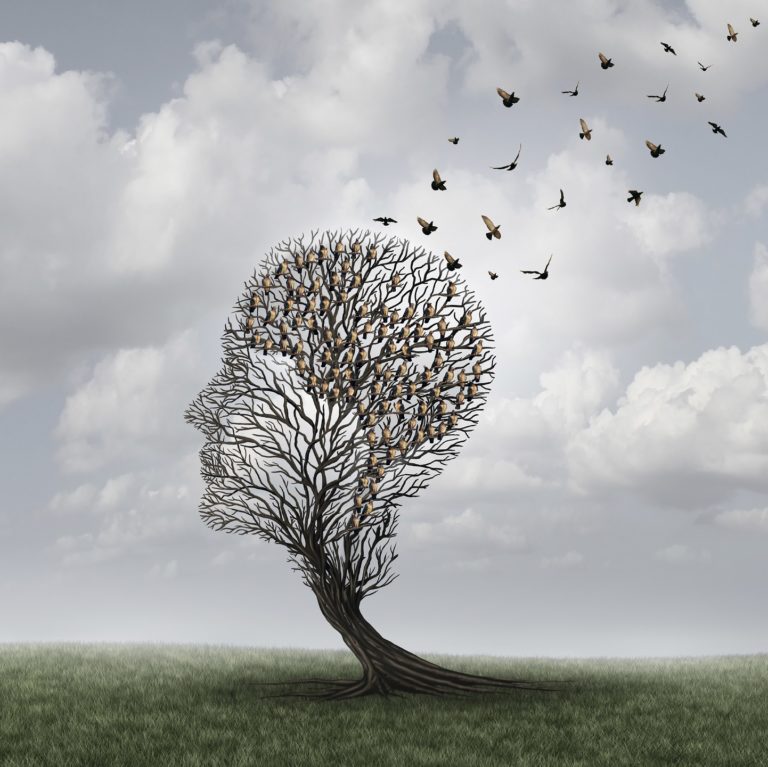 En busca de una formación con valores humanísticos