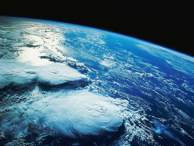 Científicos creen que se acerca una gran extinción, ¿quién la provoca?