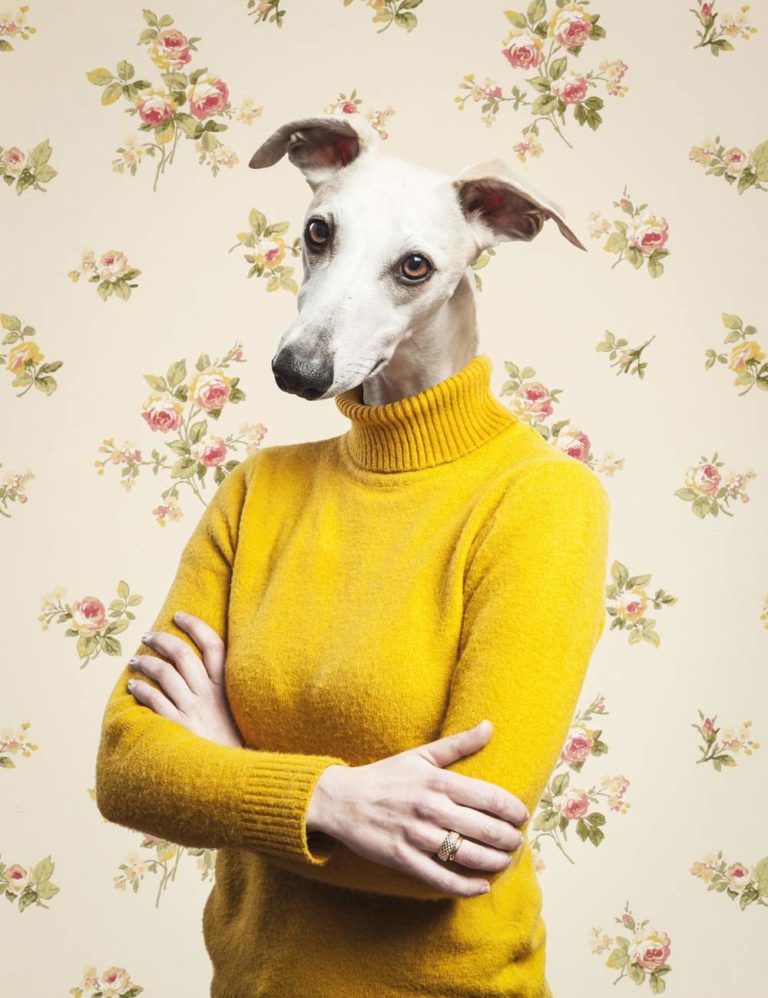El perro