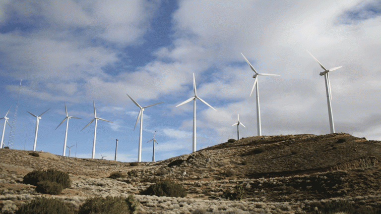 Nueva Licenciatura en  Sustentabilidad Ambiental