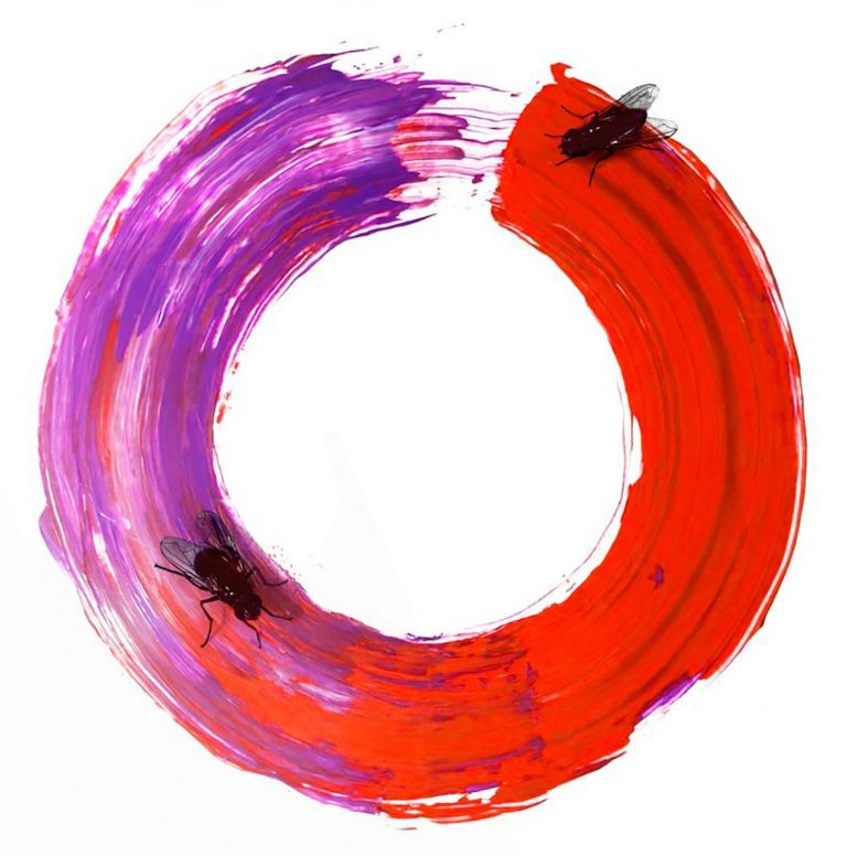 Los escritores son un misterio