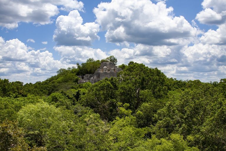 Las maravillas de la selva tropical maya